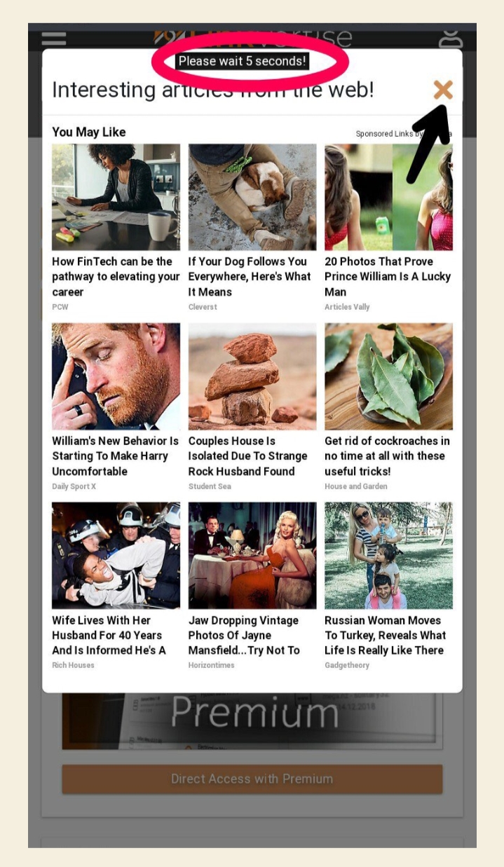 LINKVERTISE GUIDE TUTORIAL
