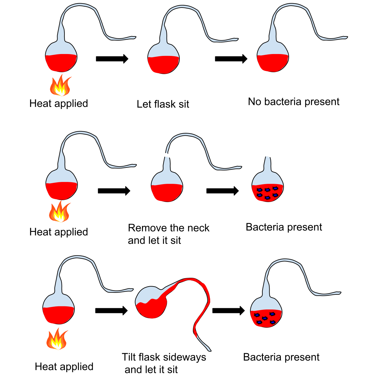 Concept of Spontaneous Generation and Biogenesis