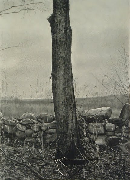 charcoal drawing of tree