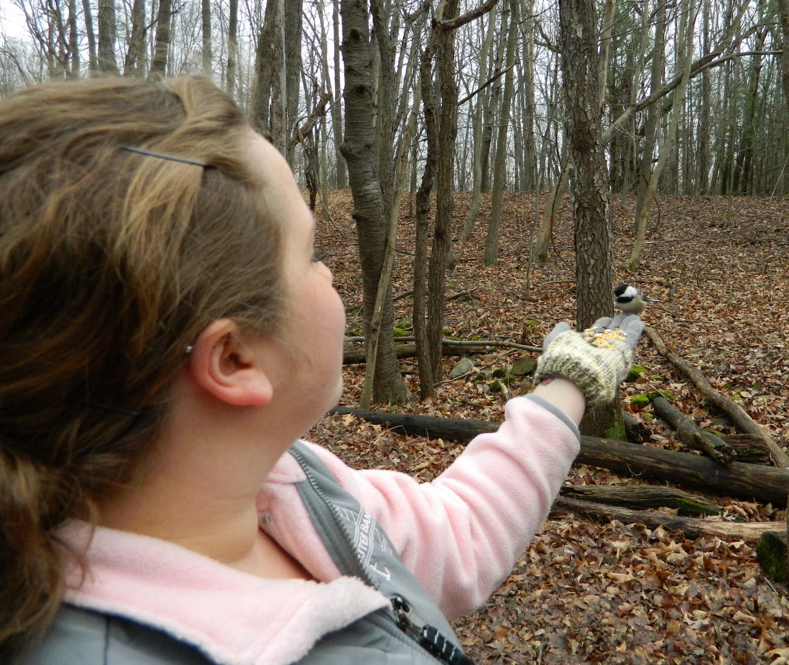 Nature in a Nutshell Wild Wings and Mendon Ponds Park with Mady!