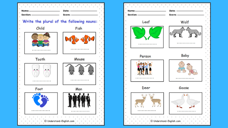 Irregular Plurals