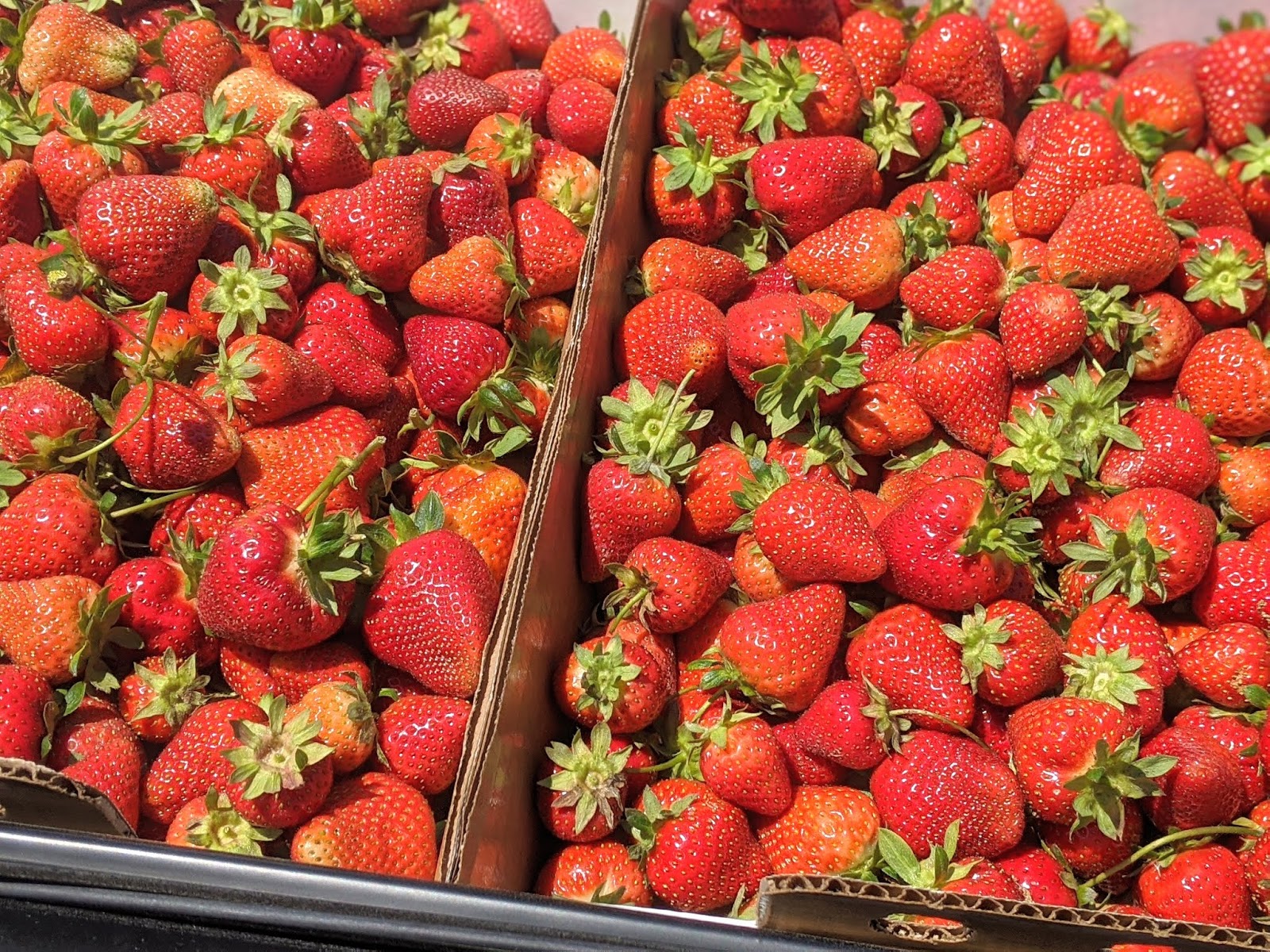Penang Food For Thought Big Red Strawberry Farm
