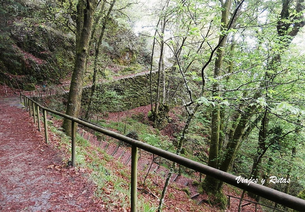 Bajada a la Fuente de San Benito