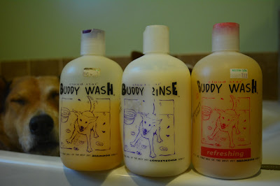 Buddy Wash and Rinse dog grooming products
