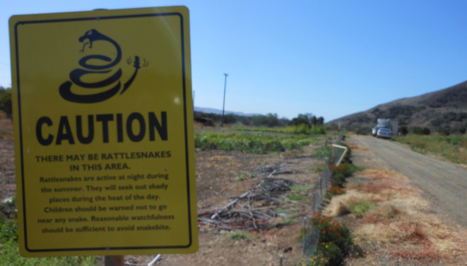 1000 Hikes in 1000 Days Day 655 Rancho Capistrano Eagles Soccer