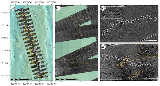 Huge Footprints Discovered on Bottom Pacific Ocean  Deep%2Bsee%2Bcreature%2Bfootprints%2BPacific%2BOcean%2B%25283%2529