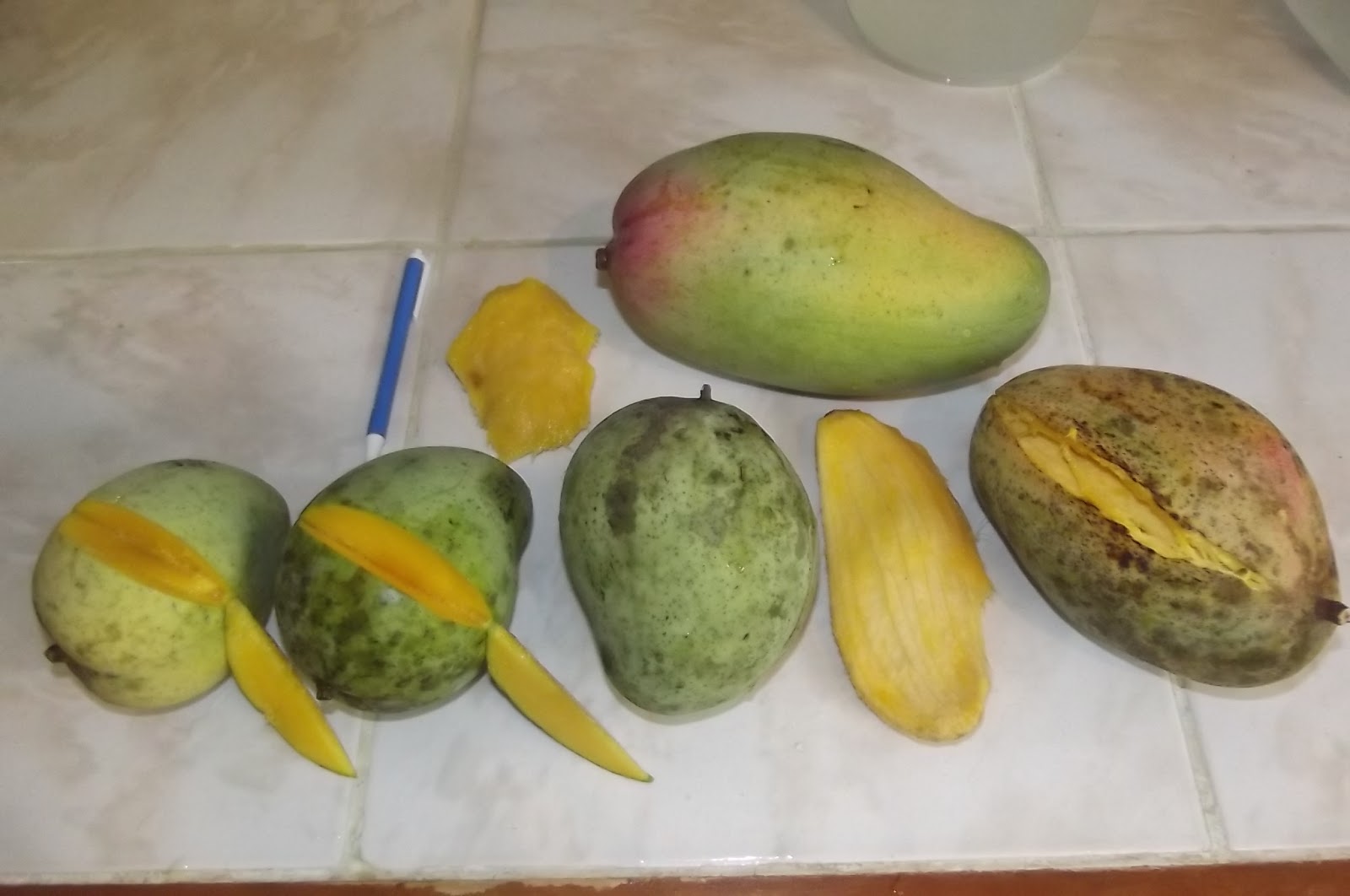 Thede Connection HAITI Mangos, by Cory