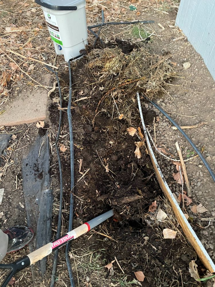 Grass to Veggies The Great Composting Experiment of 2020