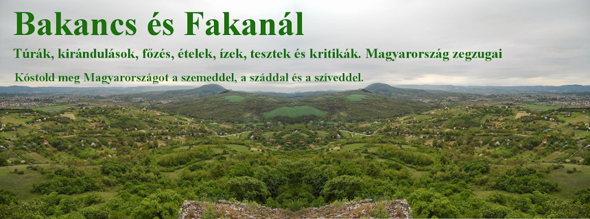 Bakancs és Fakanál