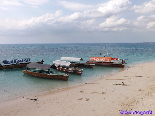 Zanzibar Prison Island