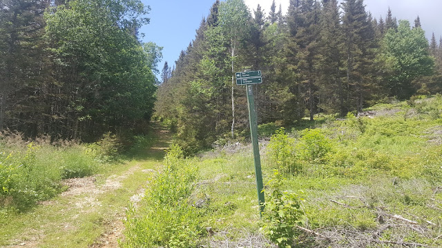 Début du sentier pour le Hog's Back