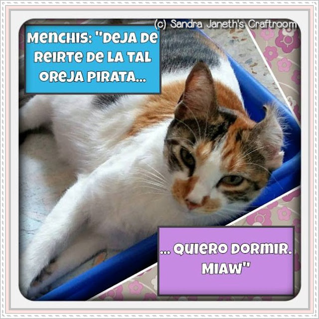 Gatos, Menchis