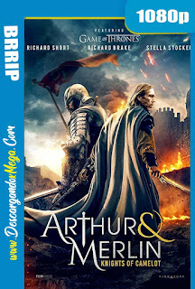  Arturo y Merlin Caballeros de Camelot (2020) 