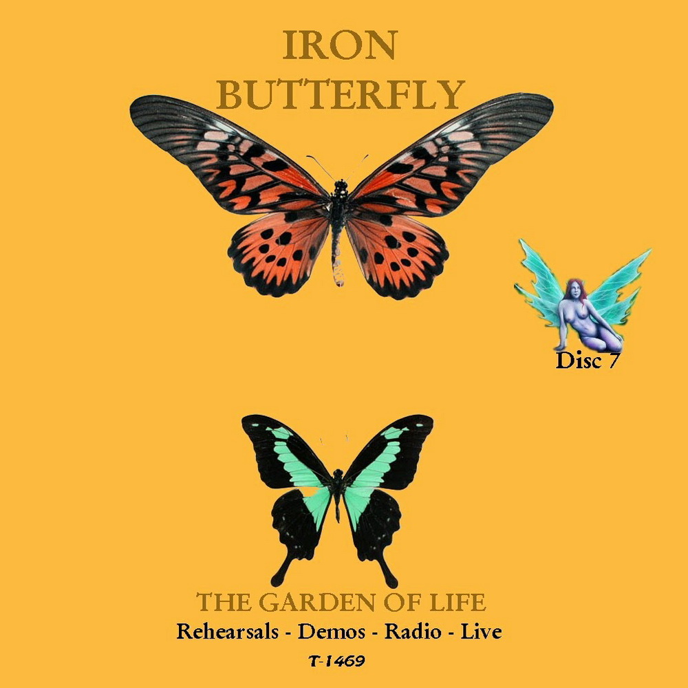 Бабочка обложка. Iron Butterfly. Группа Iron Butterfly. Iron Butterfly дискография. Iron Butterfly "Heavy".