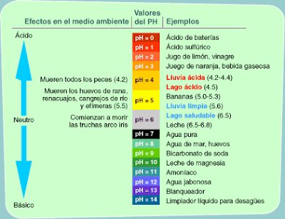 EL pH DEL AGUA ANALIZADO A FONDO EL pH DEL AGUA ANALIZADO A FONDO
