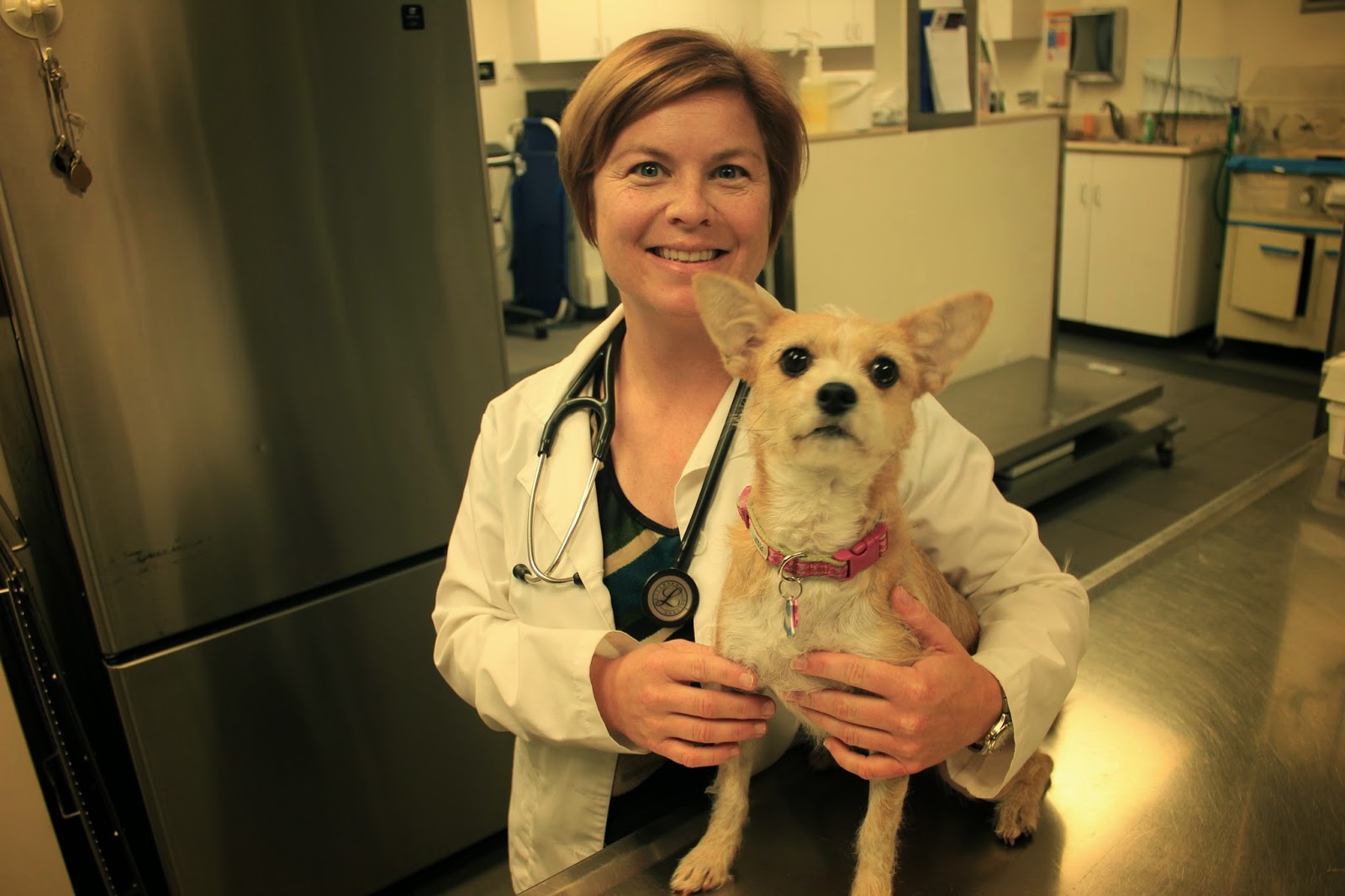 Laguna Hills Animal Hospital: Welcome Dr. Bohn!