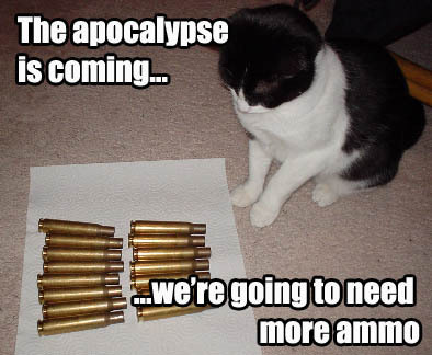 funny cat picture - funny cat pictures-ammo-lolcat