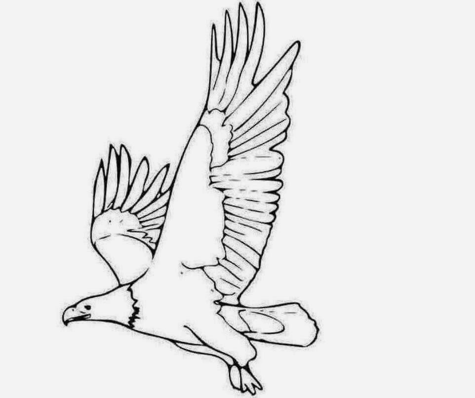 eagle coloring pages easy - photo #26