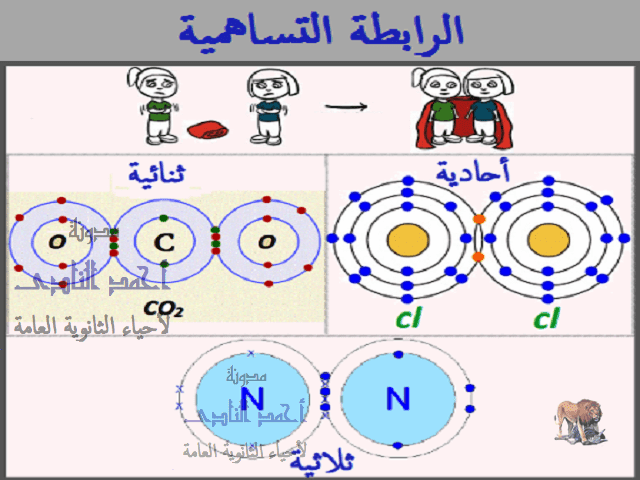 ما نوع الرابطة في جزئ النيتروجين