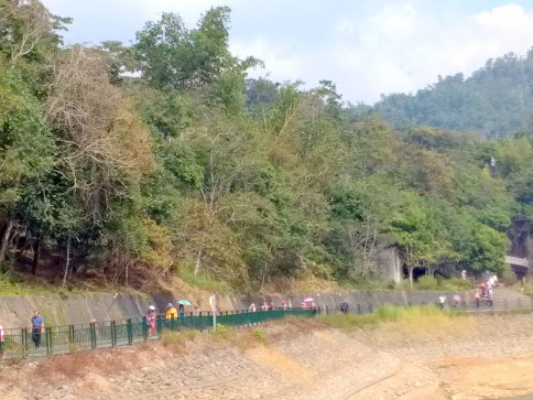 南投景點-[頭社水庫] 環湖步道半日遊[頭社水庫] 環湖步道半日遊