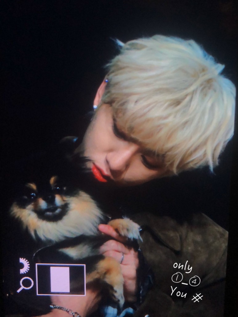 세상 정신없는 골든차일드 팬싸 근황.jpg | 인스티즈