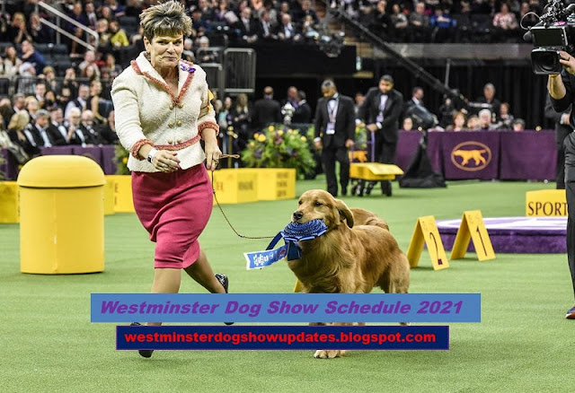 Westminster Dog Show Schedule 2021 Westminster Dog Show 2022 Live Stream