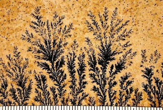 Dendritic Pyrolusite