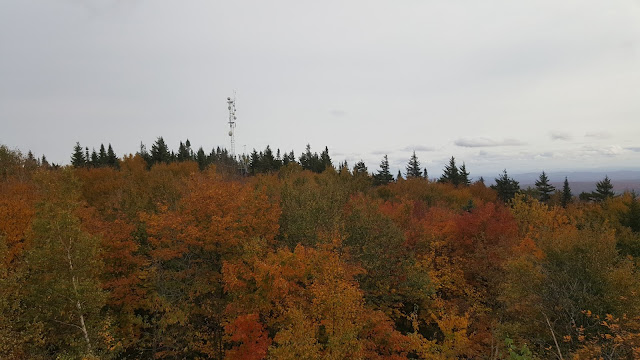 Vue à partir du sommet du mont Chauve