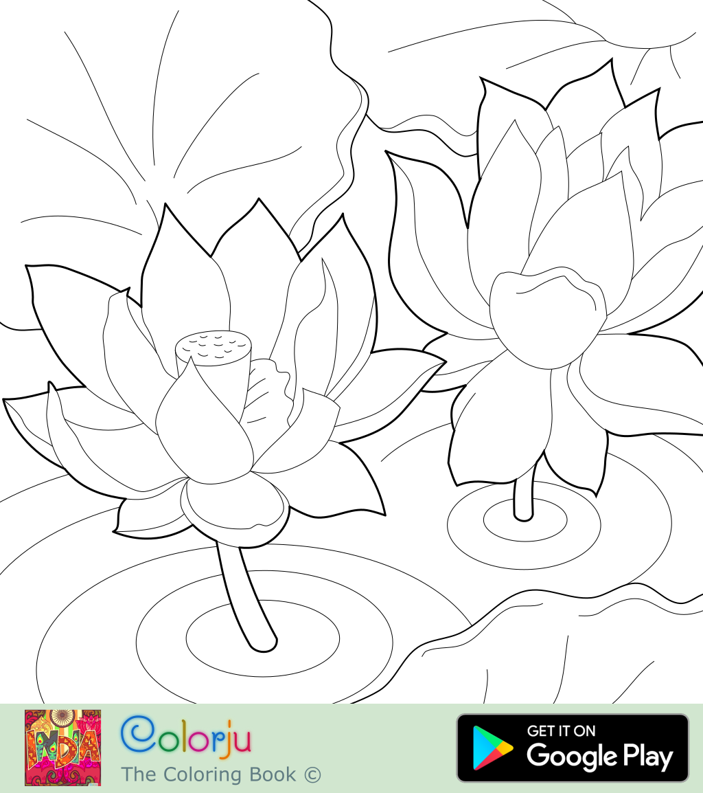Coloring Pages D Floral Coloring Pages
