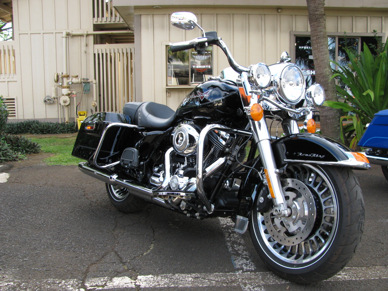  Harley Davidson Rental 
