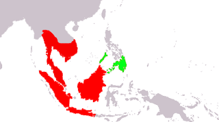Malezya uçar makisi'nin yayılım haritası