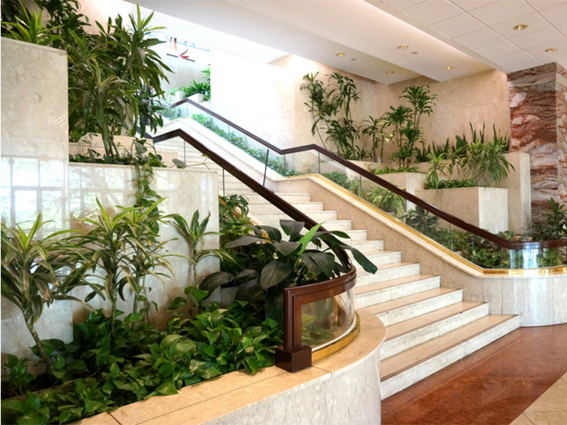Indoor Plants Melbourne Indoor plants Melbourne professional helps to