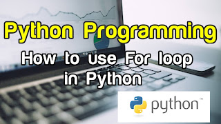 How to use for loop in Python 