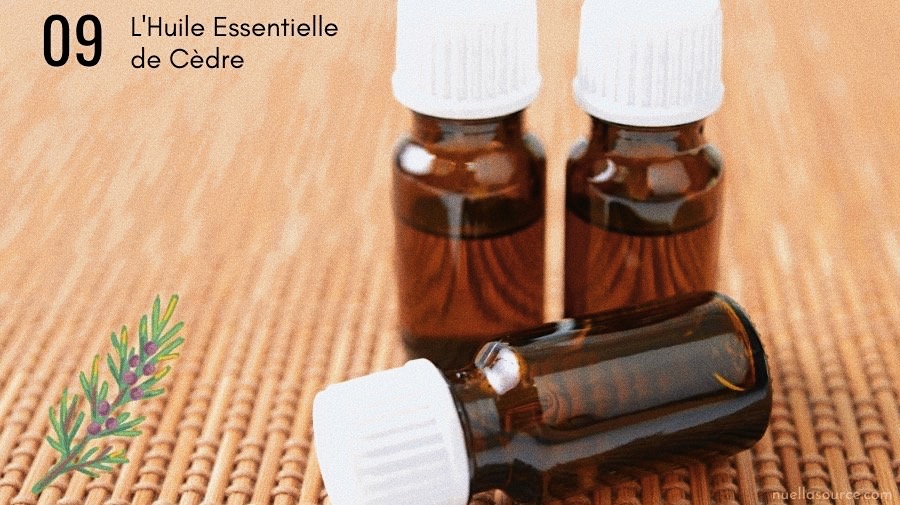Les 10 meilleures huiles essentielles pour les cheveux (pousse, chute