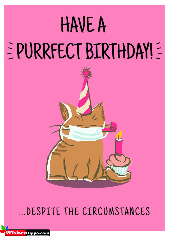 99+ Best Birthday Wishes for Friend in Lockdown WishesHippo