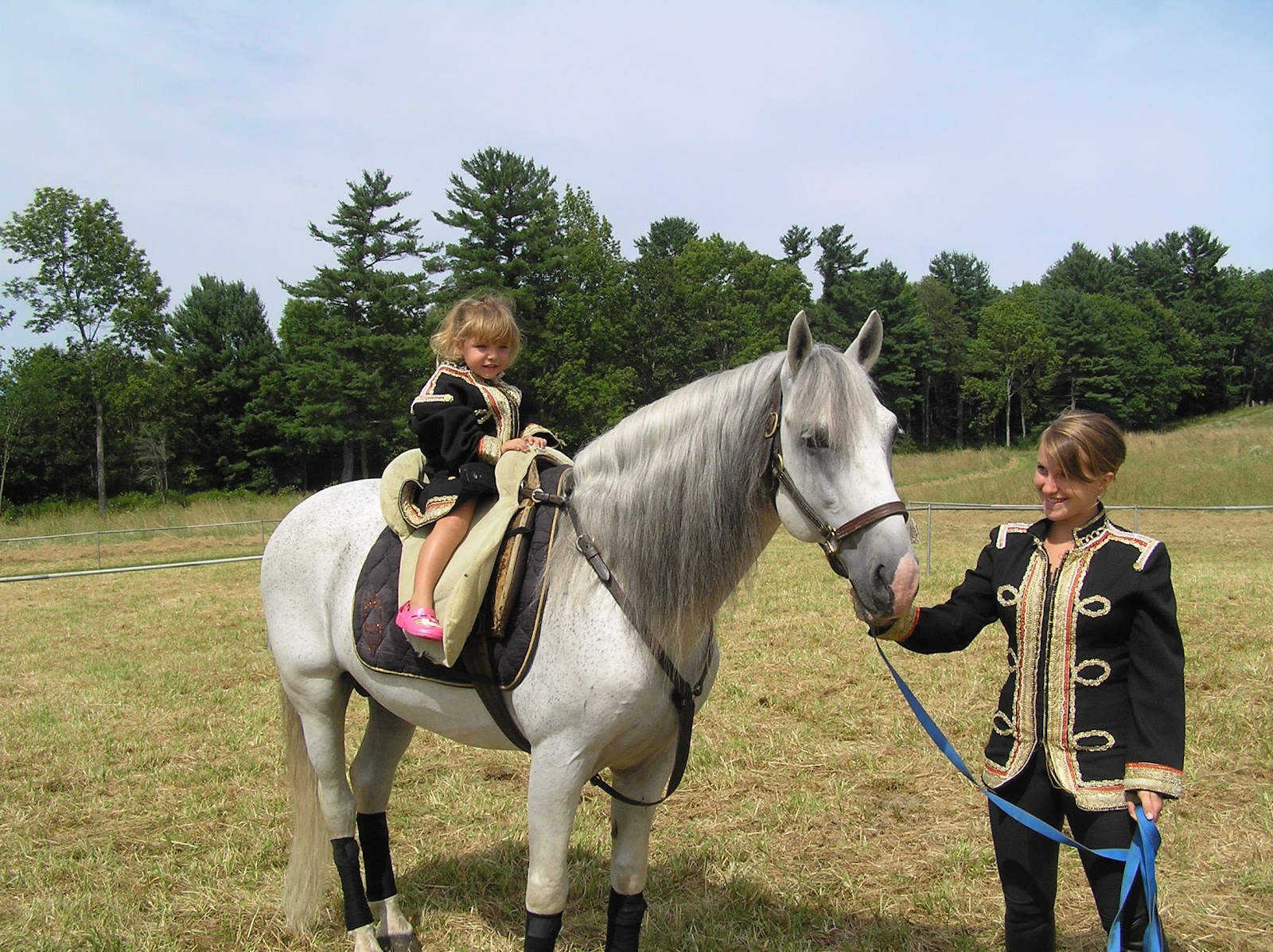The Weekly Sentinel Royal Lipizzaner Stallions Perform at Hamilton House