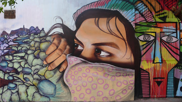 street art santiago de chile bellavista arte callejero izak
