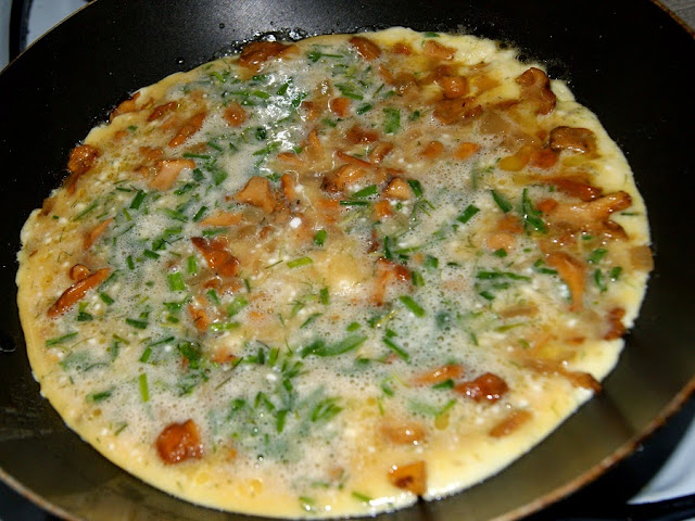 omlet z kurkami