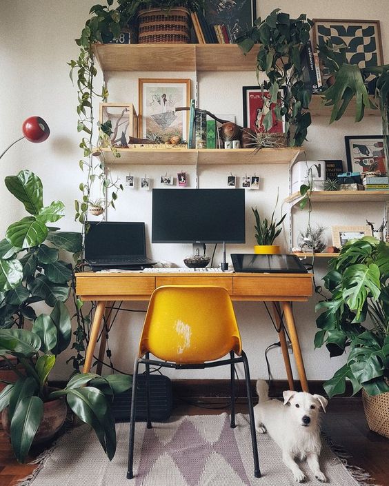 Add Some Greenery In The Office  For More Productivity