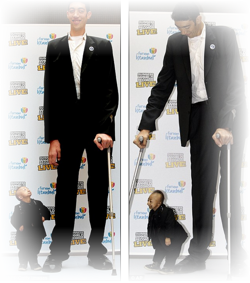 getStunned: World's Smallest Man Meets World's Tallest Man
