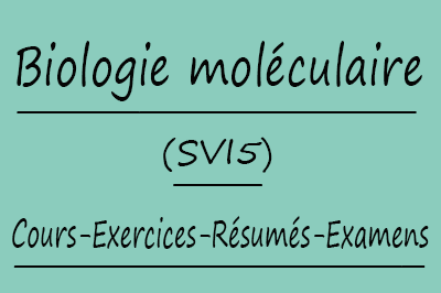 Biologie moléculaire (SVI5) Cours // Td Et Exercices // Résumés // Examens