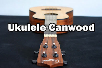 Review, Harga, dan Spesifikasi Ukulele Camwood Concert 
