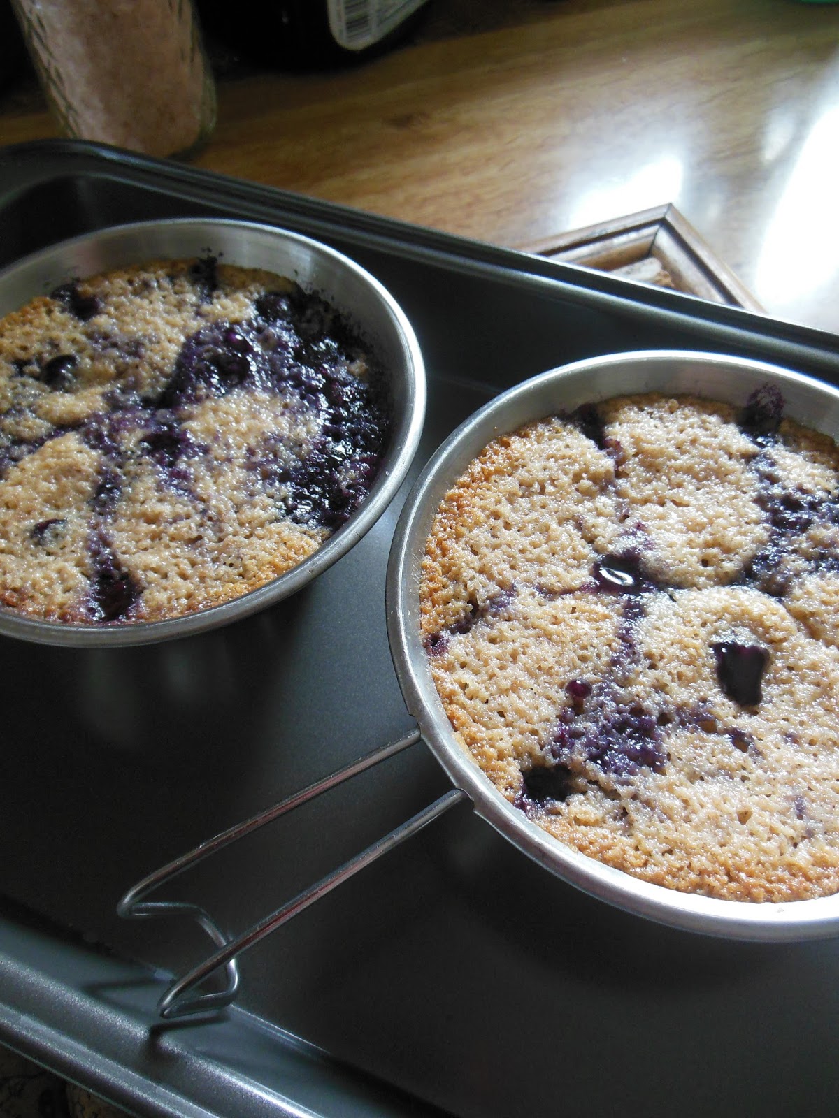 Individual Blueberry Cakes Scratch Made Food! & DIY Homemade Household.