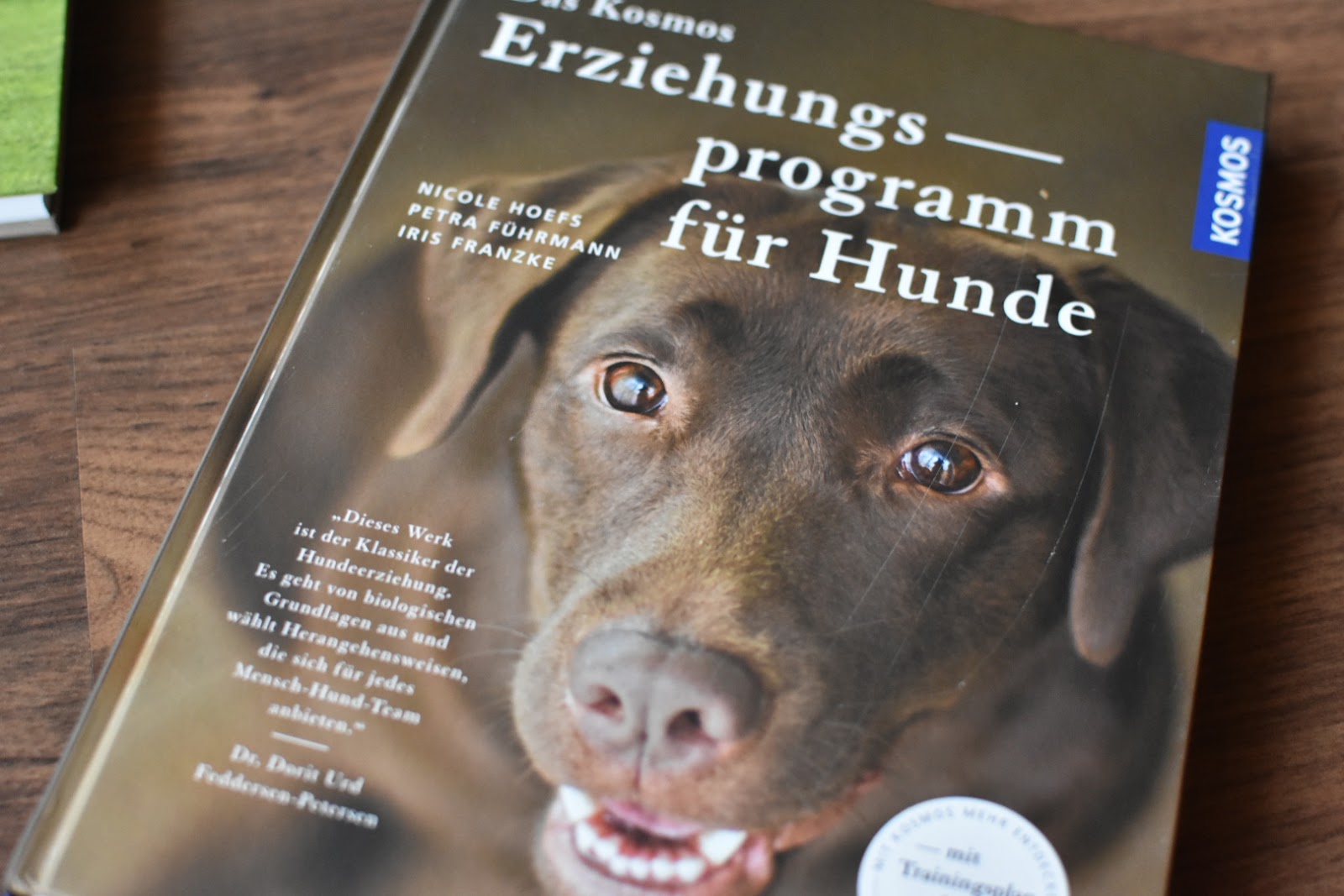 Wir sind auf den Hund gekommen&hellip;(Anzeige)