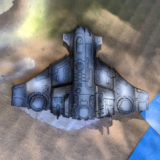 Tau Tiger Shark with zenithal spots