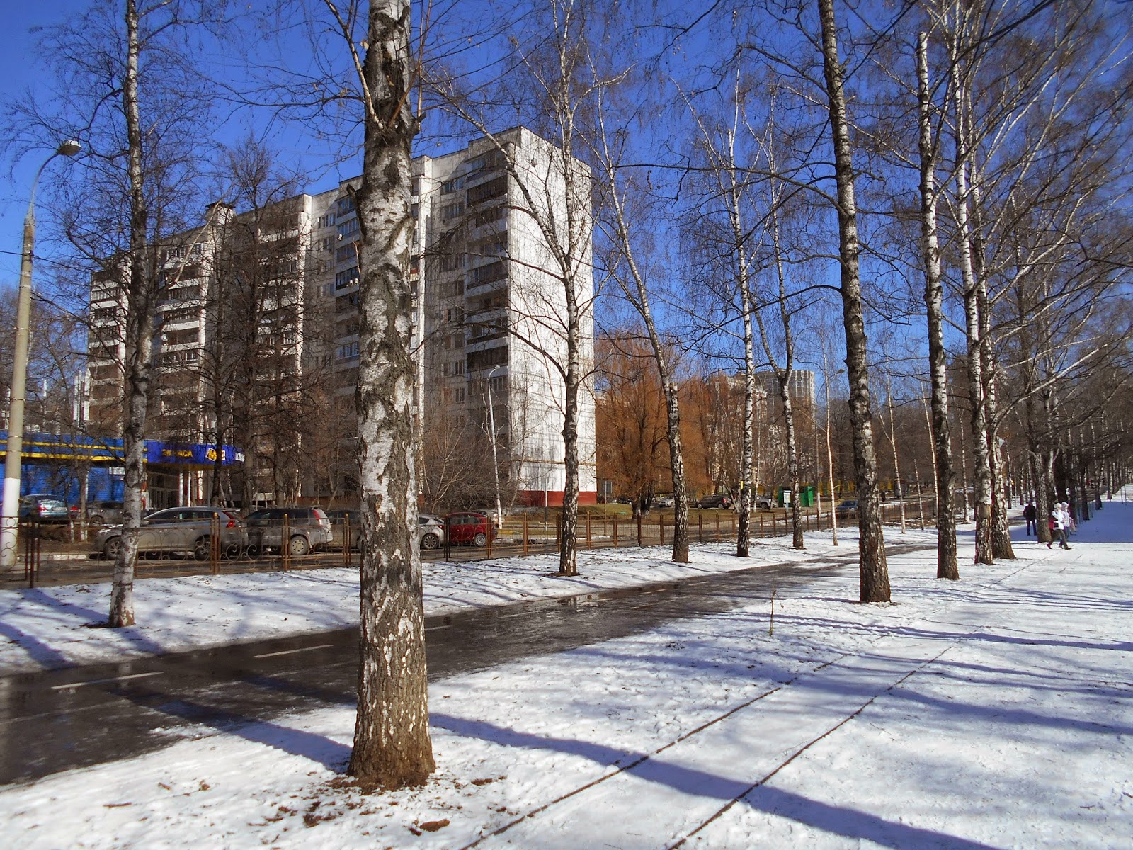 Черноморский бульвар в москве