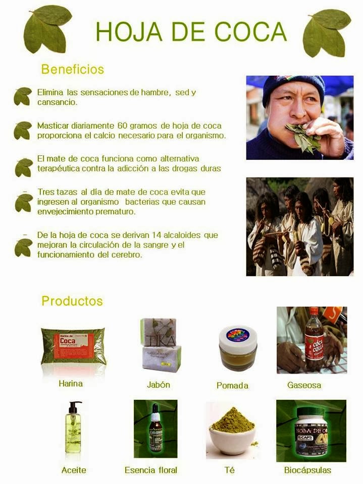 "Aprendiendo a estar saludable" LA HOJA DE COCA