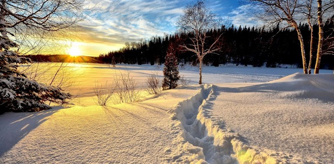 Tα ζώδια σήμερα 15 Φεβρουαρίου: Κριοί, η Σελήνη σάς δίνει ώθηση για πρωτοβουλίες