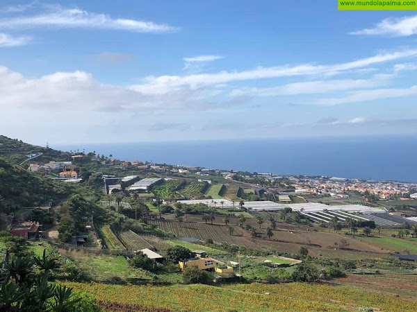 Canarias aborda la agroecología como muro de contención frente al cambio climático