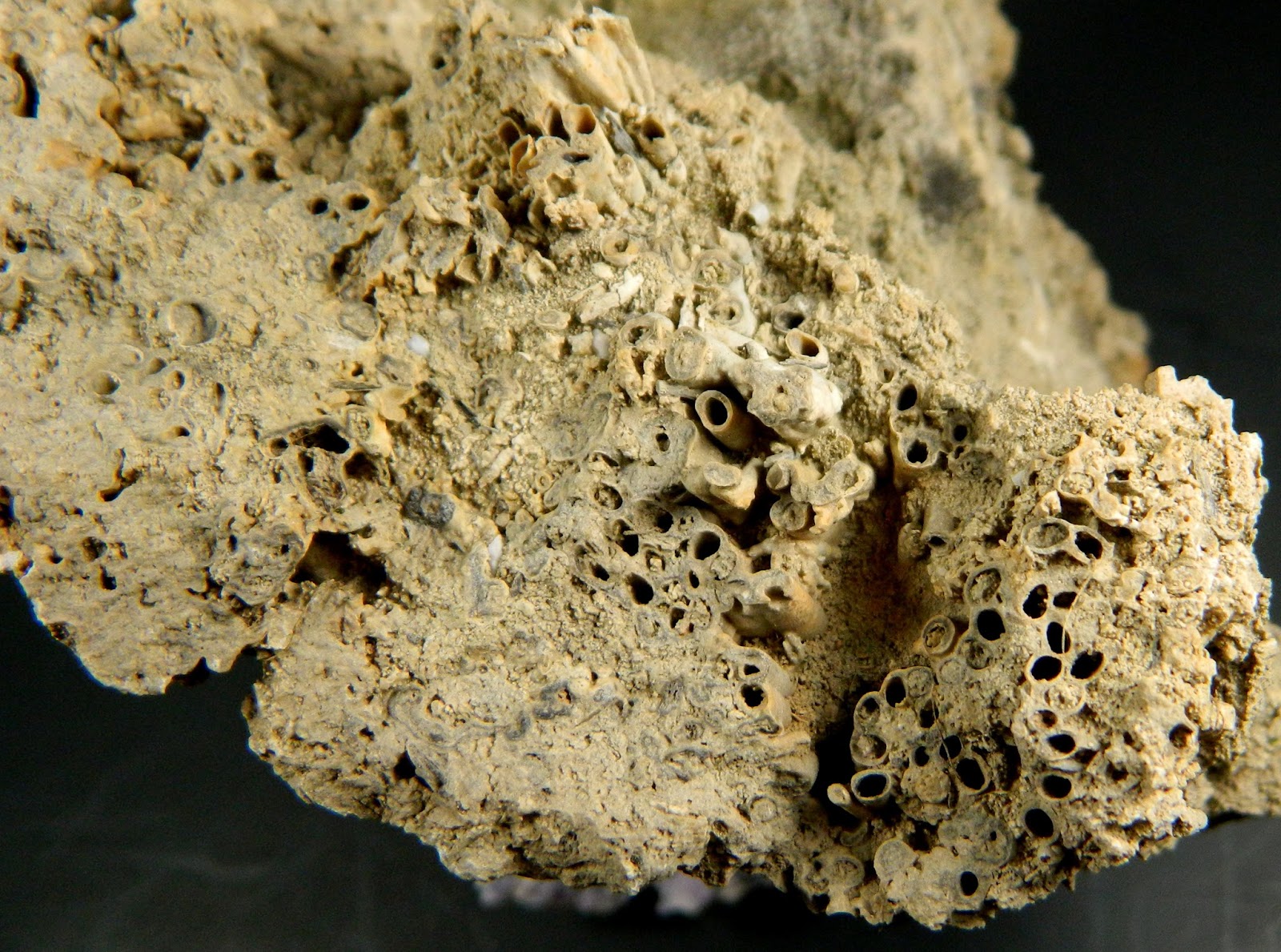 CSMS GEOLOGY POST BLACK HILLS TUFA vs. TRAVERTINE